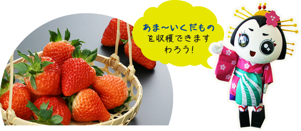 あま~い果物を収穫できますわろう!